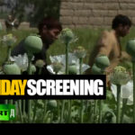 sunday-screen-opium